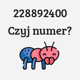 228892400