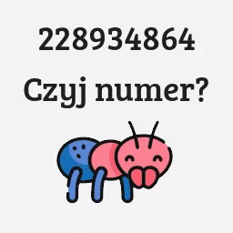 228934864