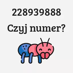 228939888