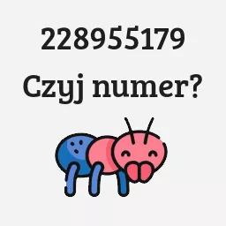 228955179