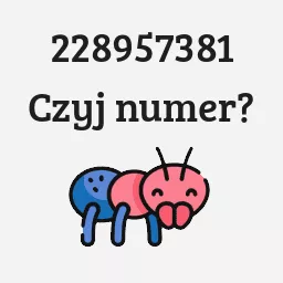 228957381