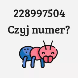 228997504