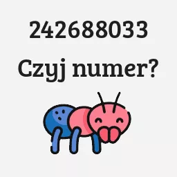 242688033