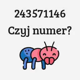 243571146