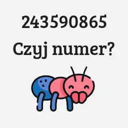 243590865