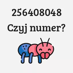 256408048