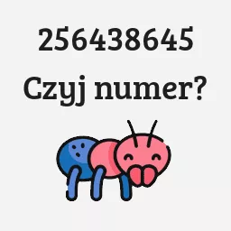 256438645