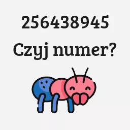 256438945