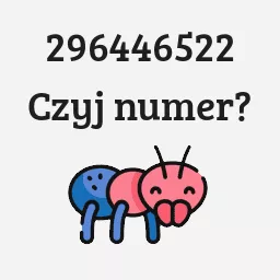 296446522