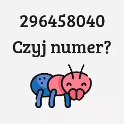 296458040