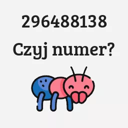 296488138