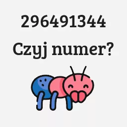 296491344