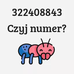 322408843