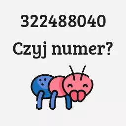 322488040