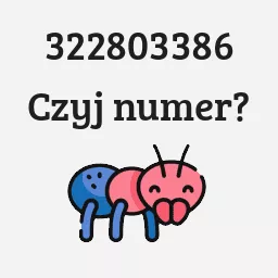 322803386