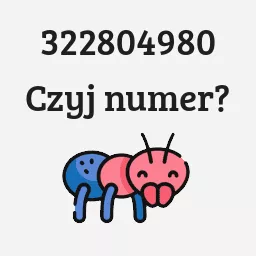 322804980