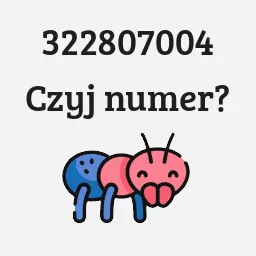 322807004