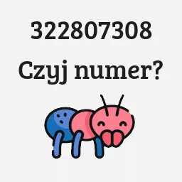 322807308