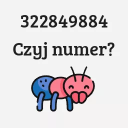 322849884