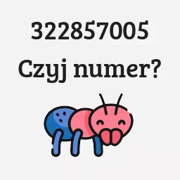 322857005