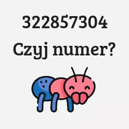 322857304