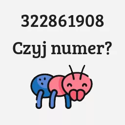 322861908