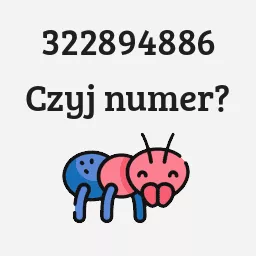 322894886