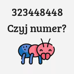 323448448