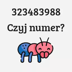 323483988