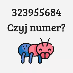 323955684