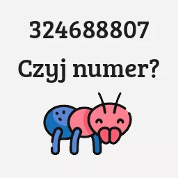 324688807