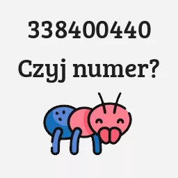 338400440