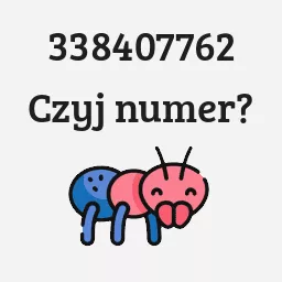 338407762