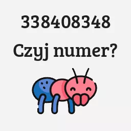 338408348