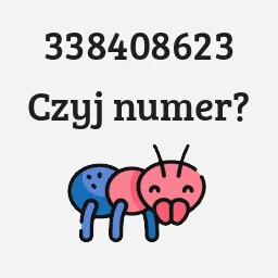 338408623