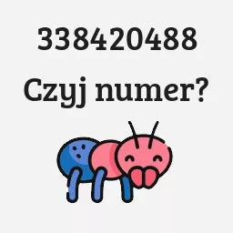 338420488