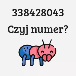 338428043