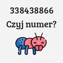 338438866