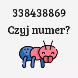 338438869