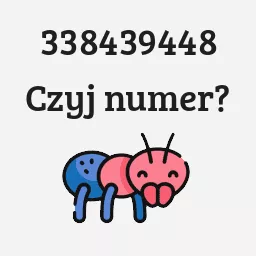 338439448