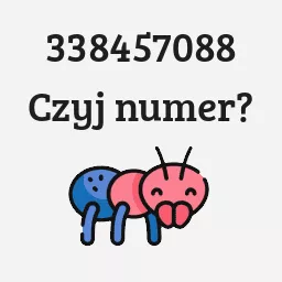 338457088