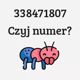 338471807