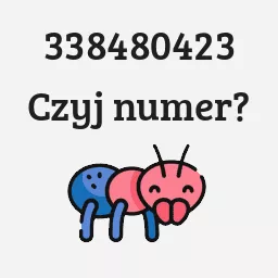 338480423