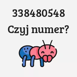 338480548