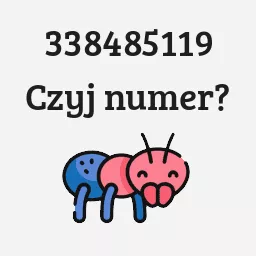 338485119