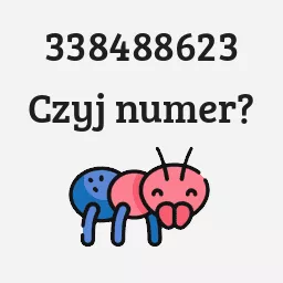 338488623