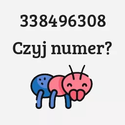 338496308