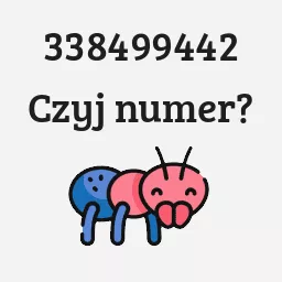 338499442