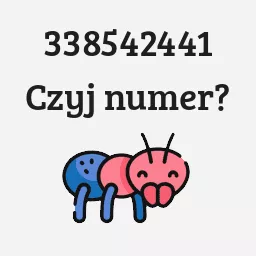 338542441