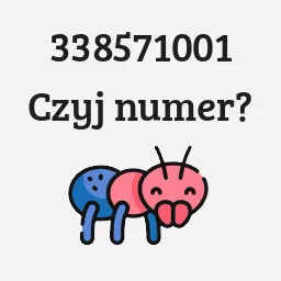 338571001